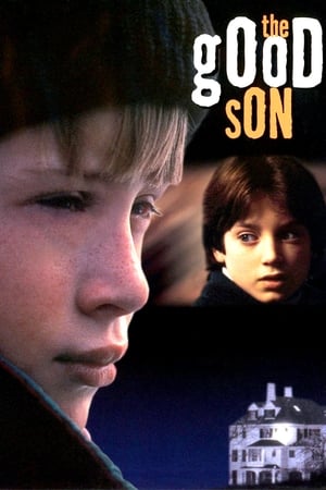 Fiul bun - The Good Son (1993)