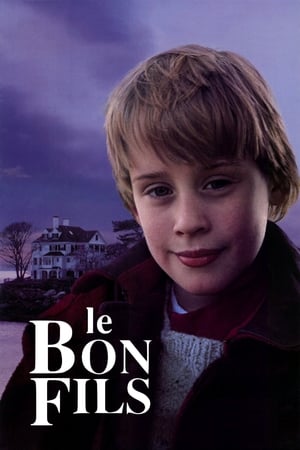 Le bon fils - The Good Son (1993)