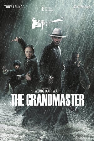 The Grandmaster (2013)