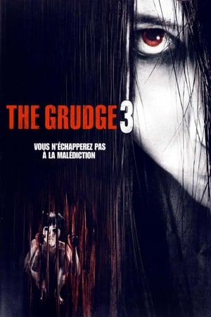 Rage meurtrière 3 - The Grudge 3 (2009)