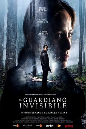 Il guardiano invisibile - The Invisible Guardian (2017)