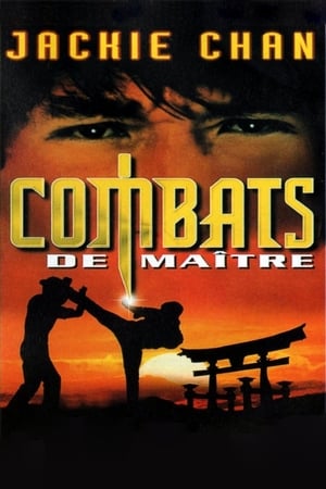 Ivresse au combat - The Legend of Drunken Master (1994)