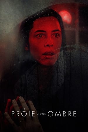 La Proie d'une ombre - The Night House (2021)
