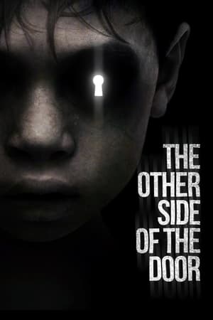 De cealaltă parte - The Other Side of the Door (2016)