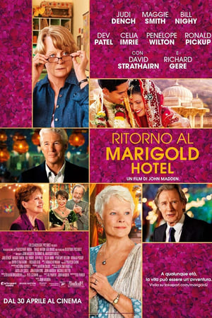 Ritorno al Marigold Hotel - The Second Best Exotic Marigold Hotel (2015)