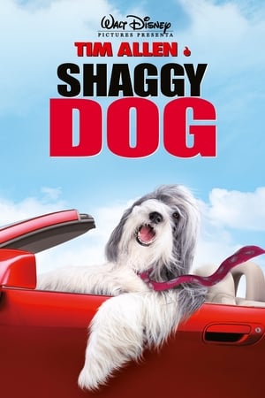 Shaggy Dog - Papà che abbaia non morde - The Shaggy Dog (2006)