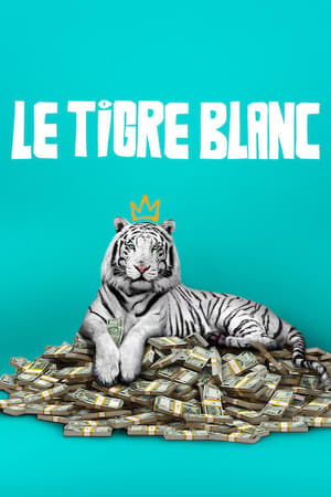 Le Tigre blanc - The White Tiger (2021)