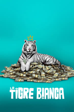 La tigre bianca - The White Tiger (2021)