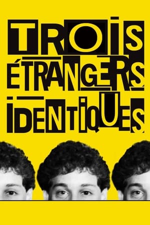 Trois étrangers identiques - Three Identical Strangers (2018)
