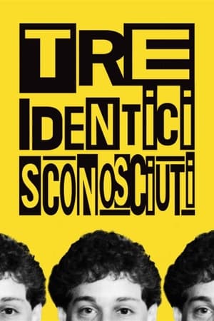 Tre identici sconosciuti - Three Identical Strangers (2018)
