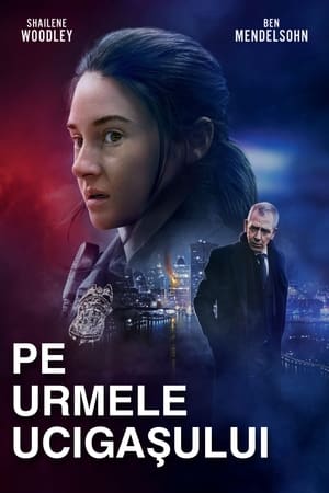 Pe urmele ucigașului - To Catch a Killer (2023)
