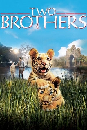 Doi frați - Two Brothers (2004)