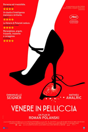 Venere in pelliccia - Venus in Fur (2013)