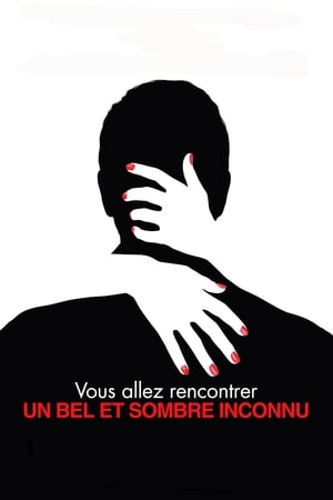 Vous allez rencontrer un bel et sombre inconnu - You Will Meet a Tall Dark Stranger (2010)