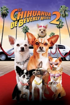 Le Chihuahua de Beverly Hills 2 - Beverly Hills Chihuahua 2 (2011)