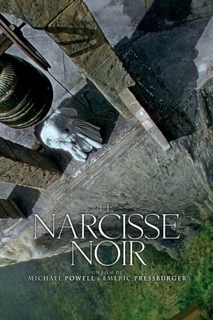 Le Narcisse noir - Black Narcissus (1947)