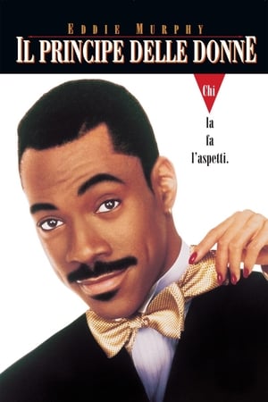 Il principe delle donne - Boomerang (1992)