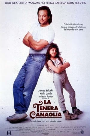 La tenera canaglia - Curly Sue (1991)