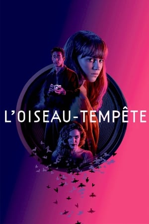 L'Oiseau-tempête - Earthquake Bird (2019)