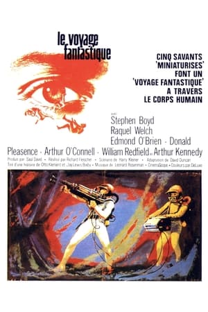 Le voyage fantastique - Fantastic Voyage (1966)