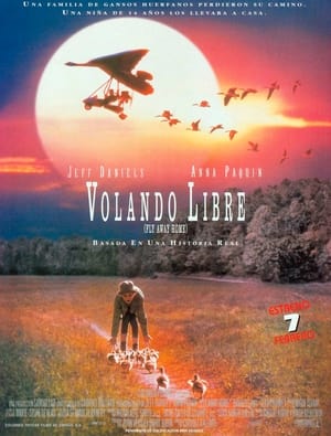 Volando a casa - Fly Away Home (1996)