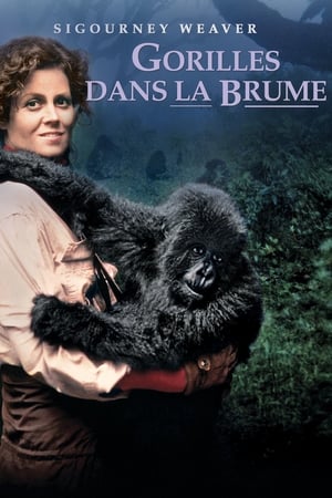 Gorilles dans la Brume - Gorillas in the Mist (1988)