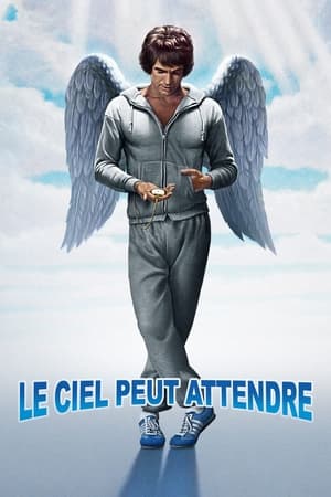 Le ciel peut attendre - Heaven Can Wait (1978)