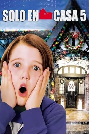 Mi pobre angelito 5 - Home Alone: The Holiday Heist (2012)