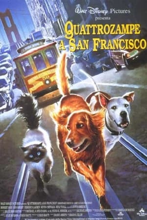 Quattro zampe a San Francisco - Homeward Bound II: Lost in San Francisco (1996)