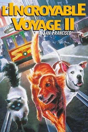 Retour au bercail II: Perdus à San Francisco - Homeward Bound II: Lost in San Francisco (1996)