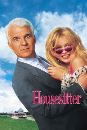 Simte-te ca acasă - Housesitter (1992)