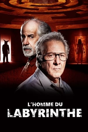 L'Homme du labyrinthe - Into the Labyrinth (2019)
