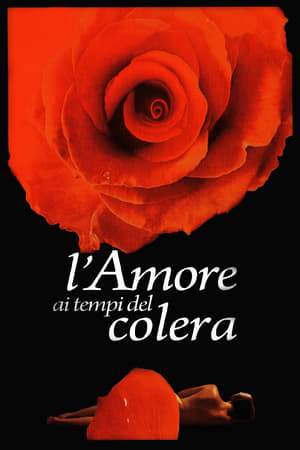 L'amore ai tempi del colera - Love in the Time of Cholera (2007)