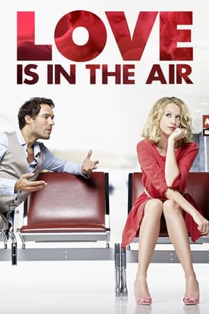 Amor și turbulențe - Love Is in the Air (2013)