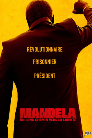 Mandela : Un long chemin vers la liberté - Mandela: Long Walk to Freedom (2013)