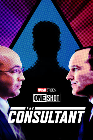 Marvel One-Shot: The Consultant (2011)