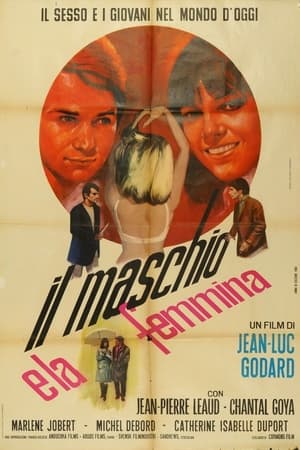 Il maschio e la femmina - Masculin Féminin (1966)