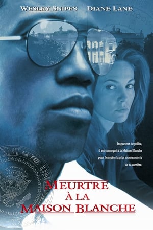 Meurtre au 1600 - Murder at 1600 (1997)