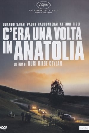 C'era una volta in Anatolia - Once Upon a Time in Anatolia (2011)