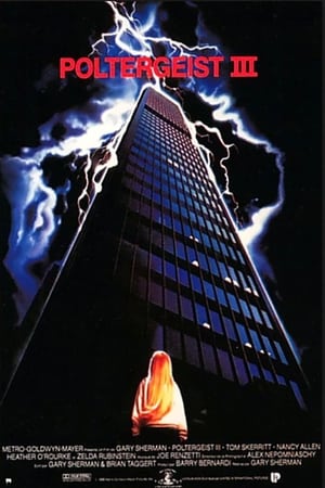 Poltergeist III - Ci risiamo - Poltergeist III (1988)