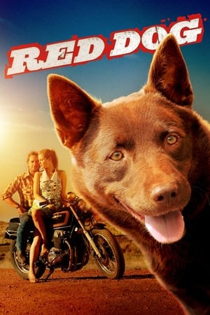 Câinele roșu - Red Dog (2011)