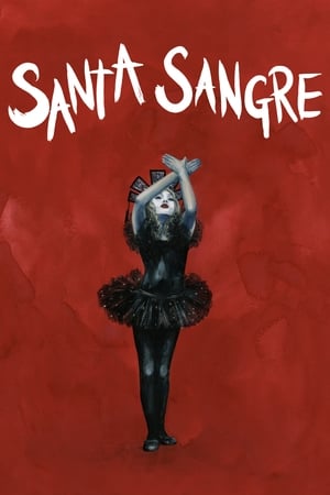 Santa sangre (1989)