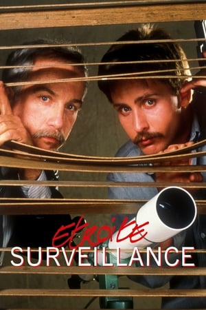 Étroite surveillance - Stakeout (1987)