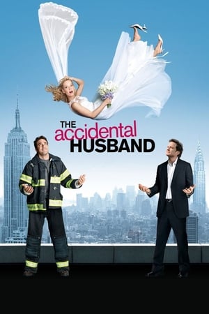 Soțul accidental - The Accidental Husband (2008)