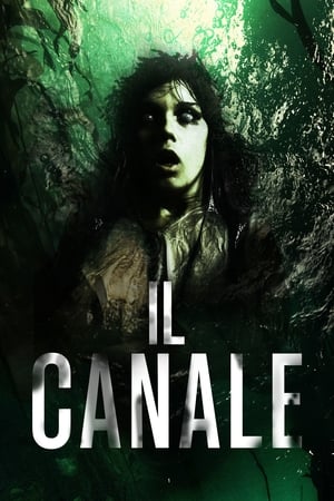Il canale - The Canal (2014)
