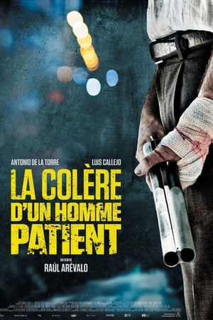 La Colère d’un homme patient - The Fury of a Patient Man (2016)