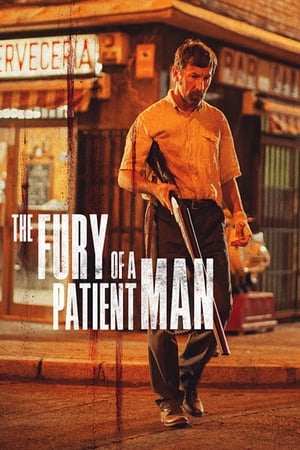 Furia unui om răbdător - The Fury of a Patient Man (2016)