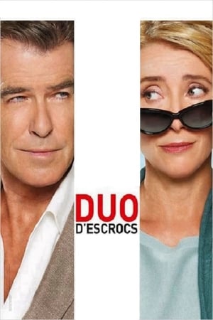 Duo d'escrocs - The Love Punch (2014)