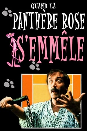 Quand la panthère rose s'emmêle - The Pink Panther Strikes Again (1976)