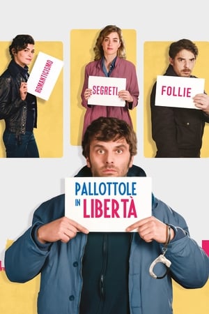Pallottole in libertà - The Trouble with You (2018)